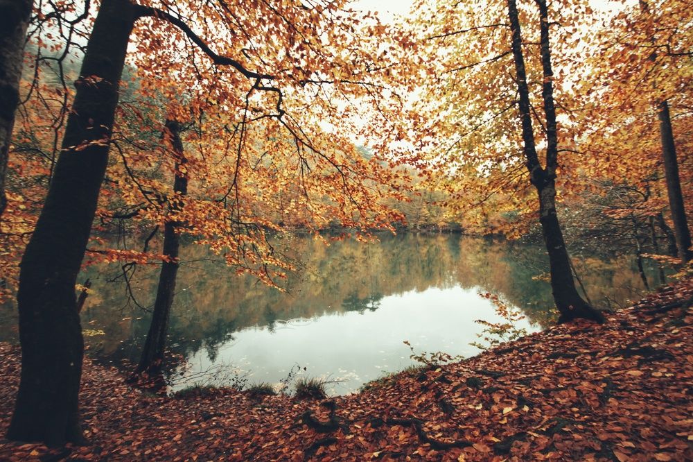 Photograph by Ersan Küçük