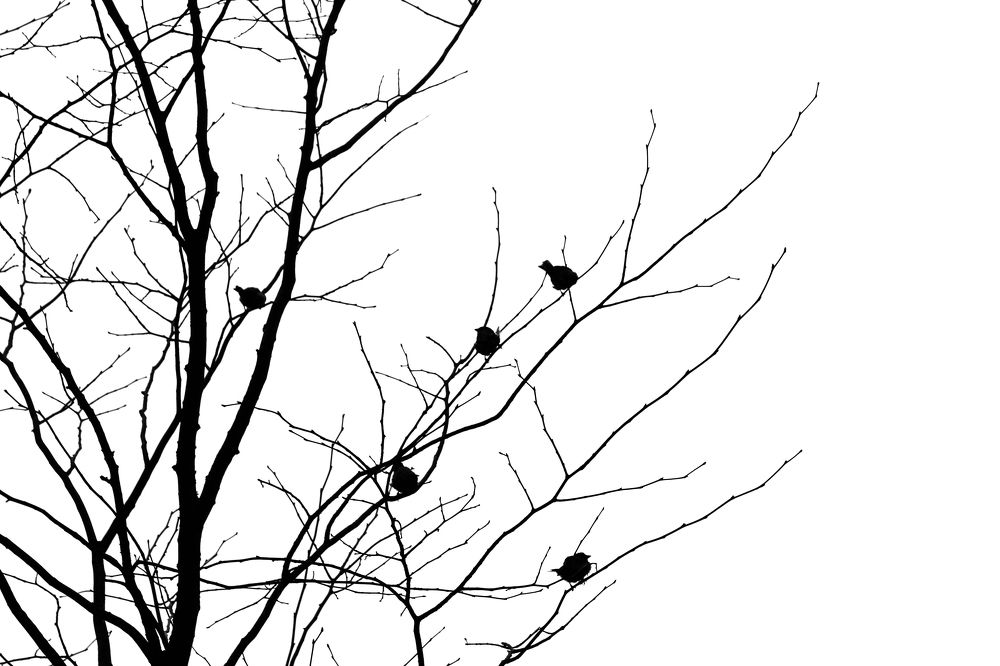 Photograph by Aleksandra