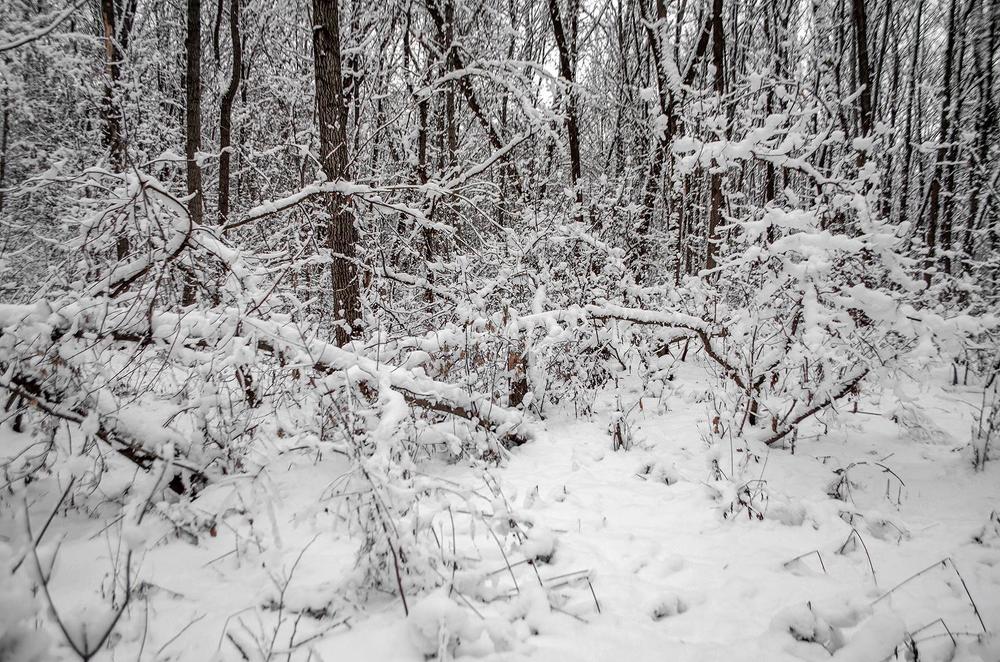 Photograph by Fantomas