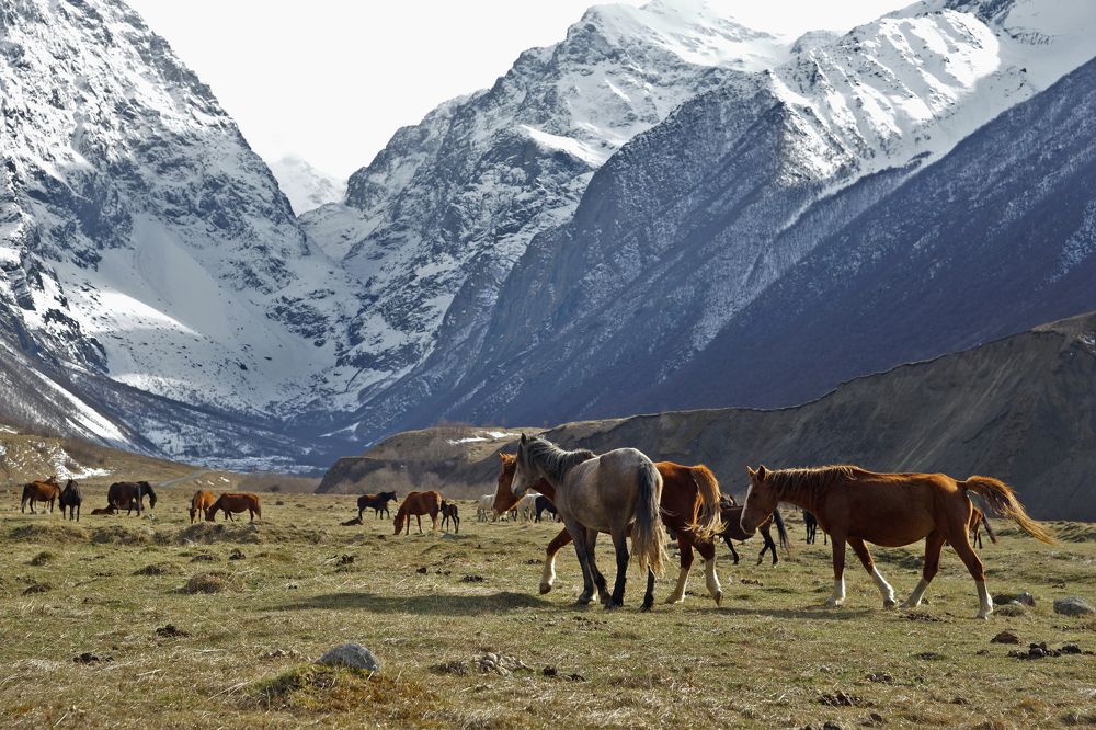 Photograph by Светлана Зимина