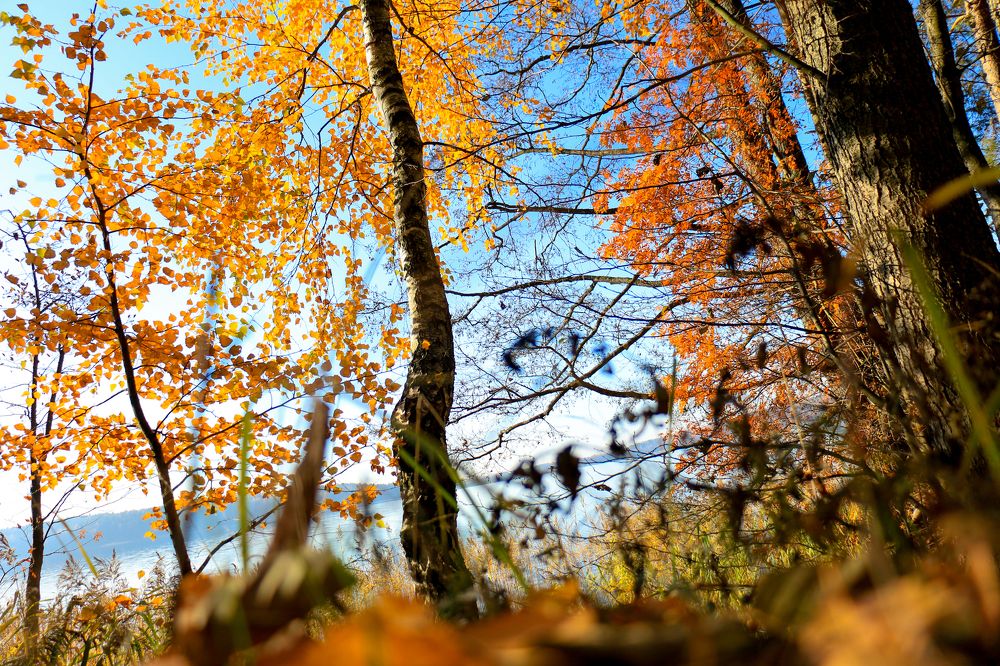 Photograph by Aleksandra