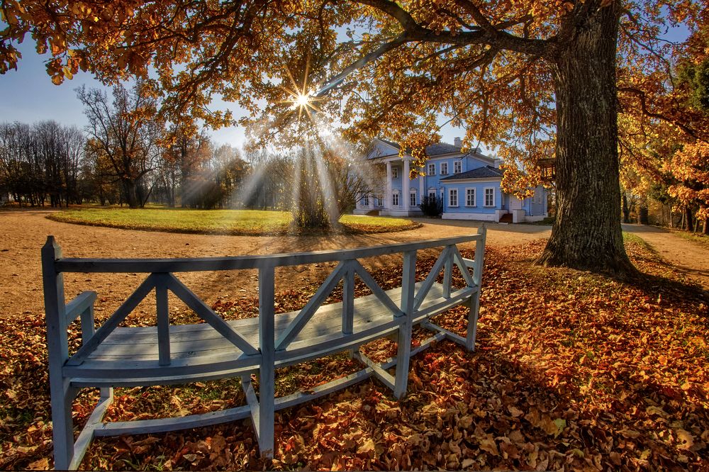 Photograph by Alexander Grigorchenkov