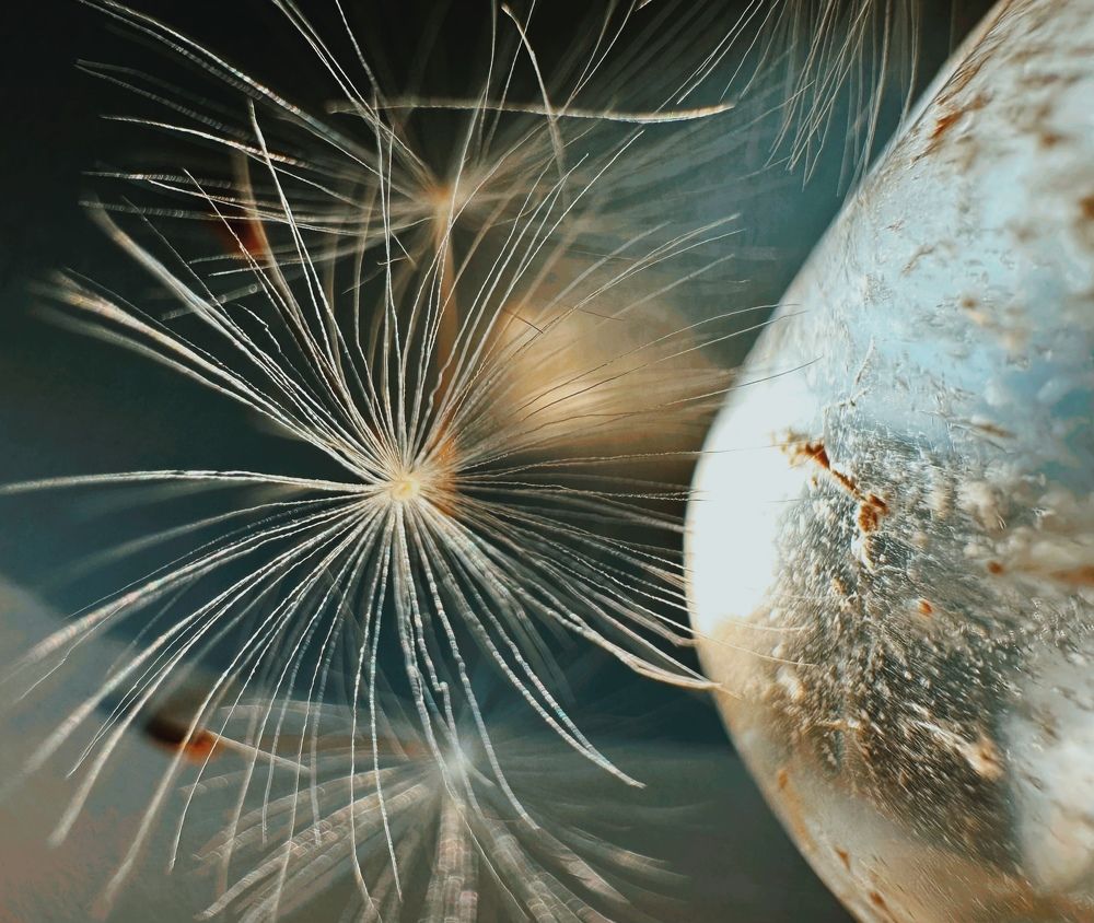 Photograph by Evgenia Barinova