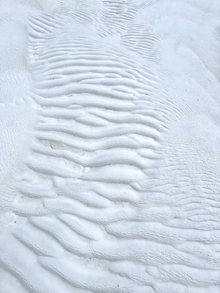 Photograph by Evgenia Barinova