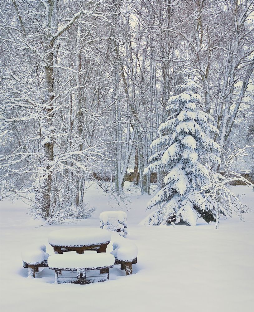 Photograph by Janis Serdienis