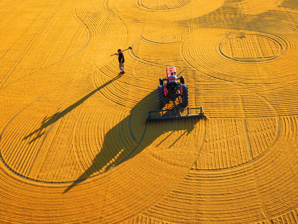 Photograph by Gilcan Mete Delibay