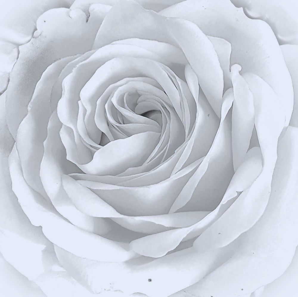 Photograph by Ева К