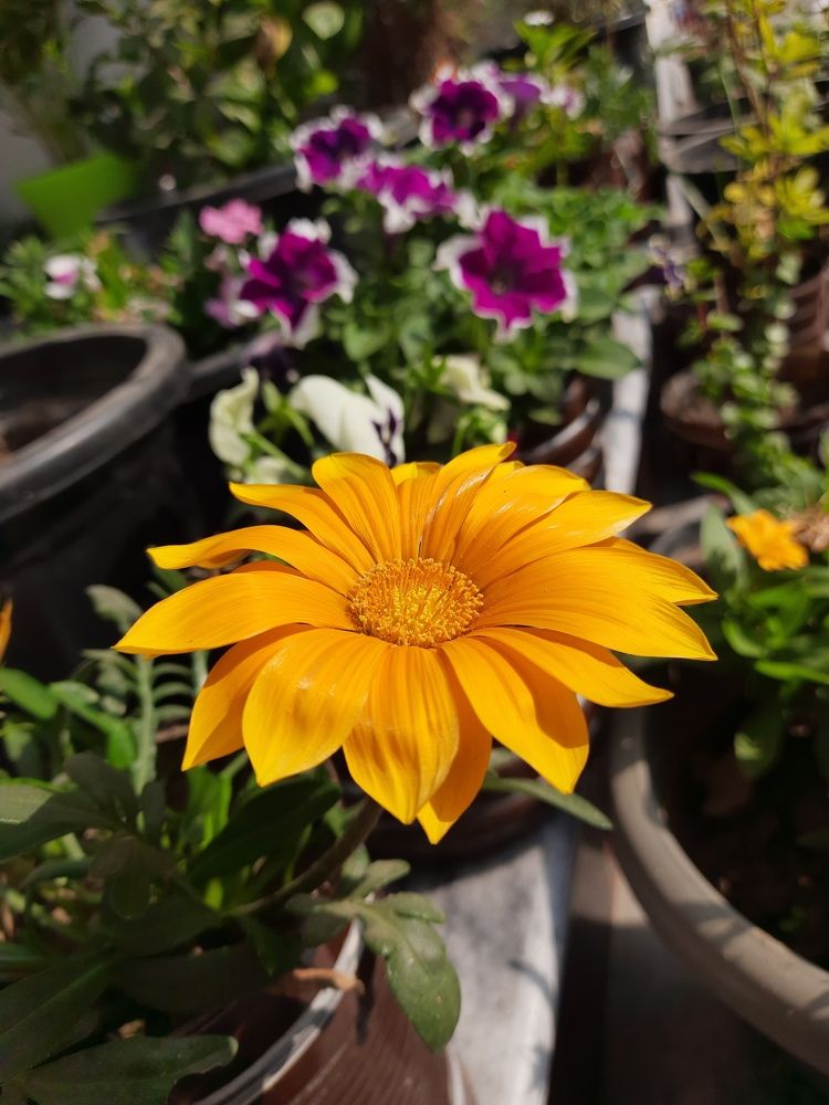 Photograph by Abhishek