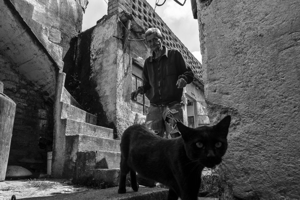 Old Companions: Black Cat and Elderly Man in the Old Tenement