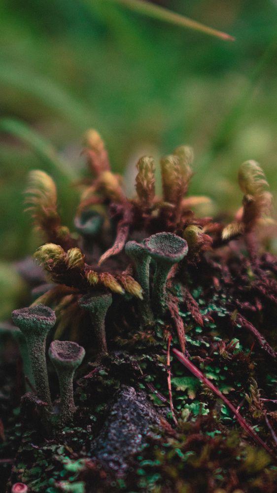 Photograph by Антон Истомин