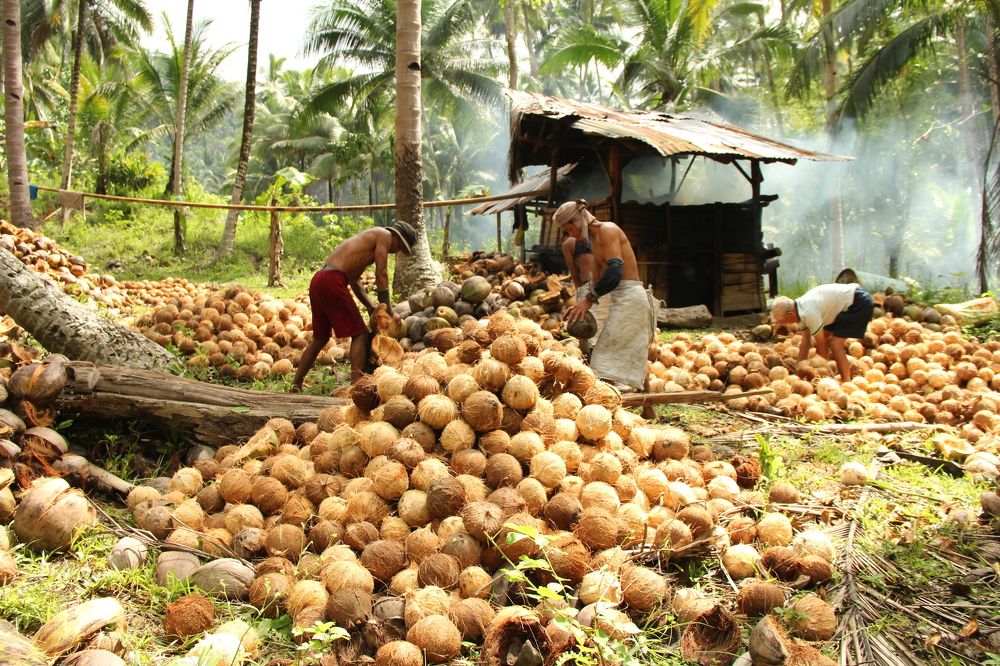 Photograph by Eliseo III Besana