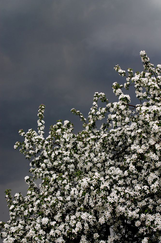 Фотография автора Любовь Харина