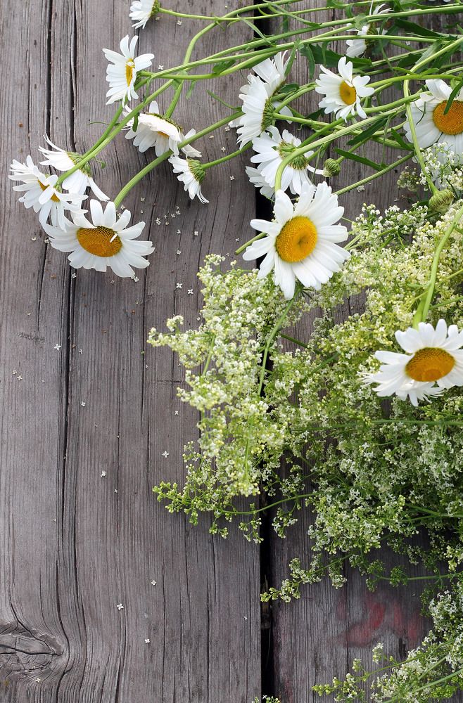 Фотография автора Любовь Харина