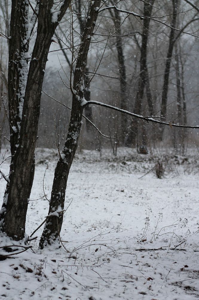 Фотография автора Любовь Харина