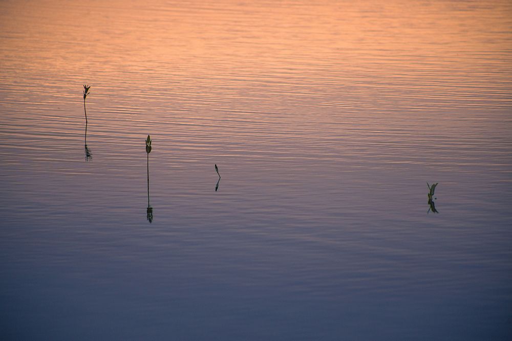 Photograph by Rafael Pictures