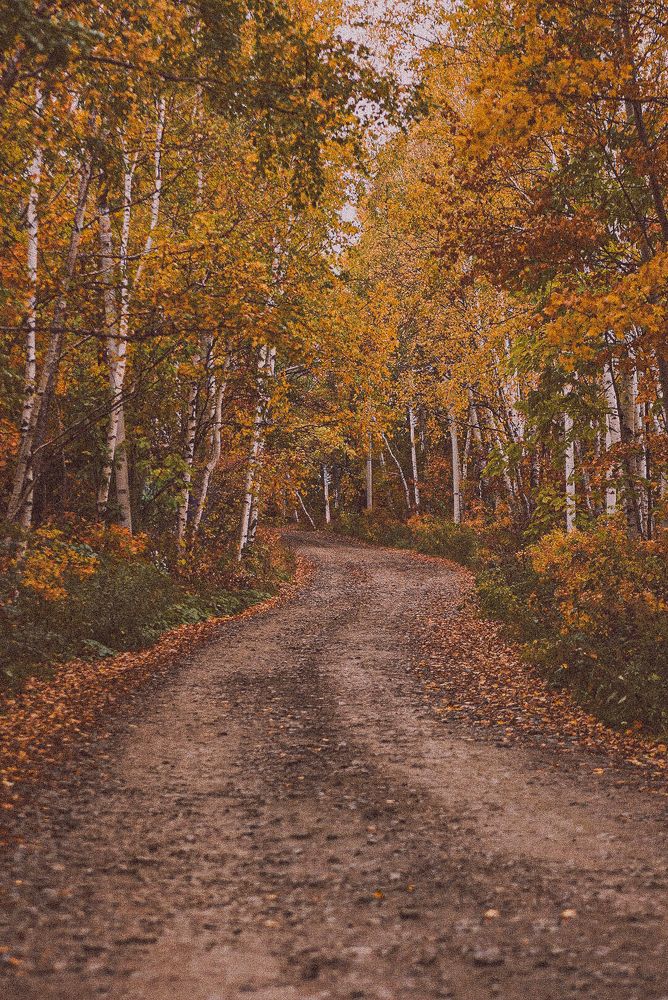 Photograph by Анна Колесниченко