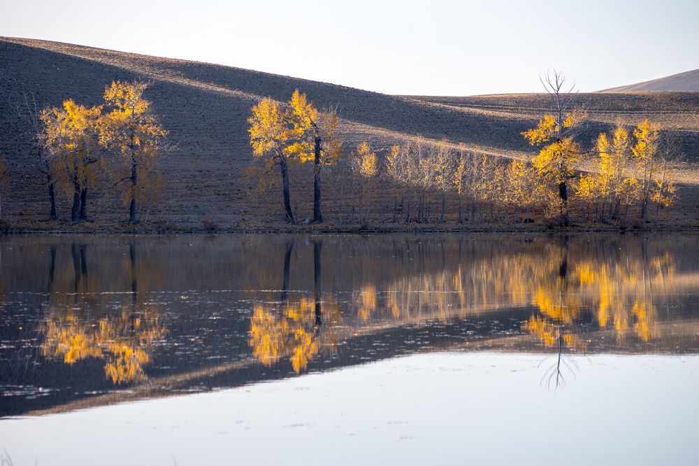 Photograph by Андрей Хаймин