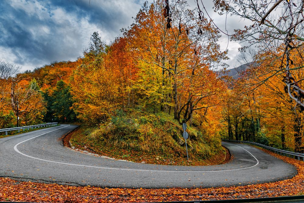 Photograph by Виталий Шкадинов