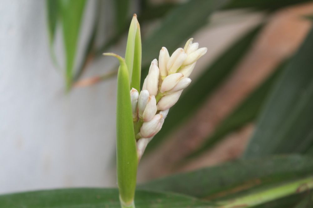 Photograph by MANIMARAN KANNAN