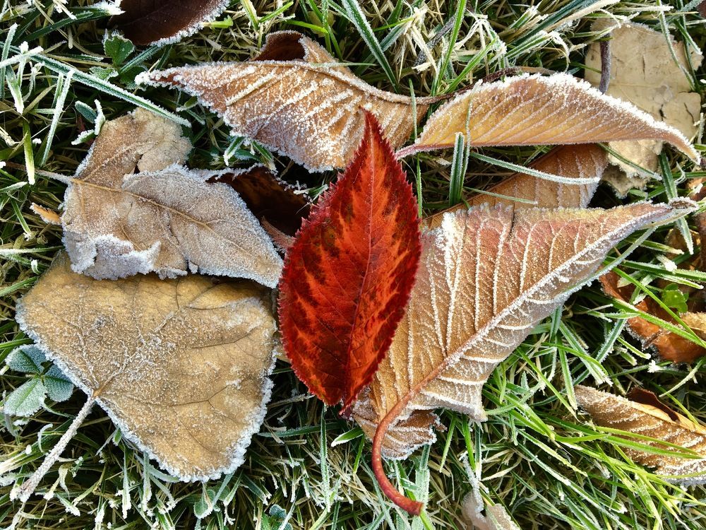 Photograph by Елена Ким