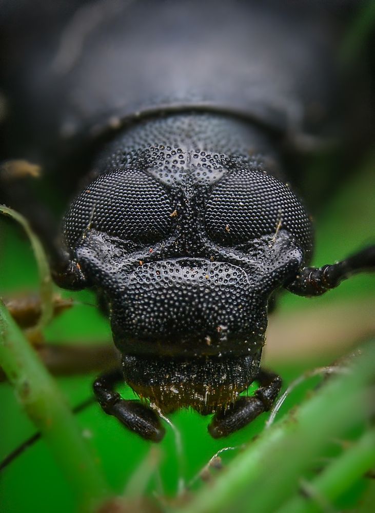 Photograph by Kasun Wickramasinghe