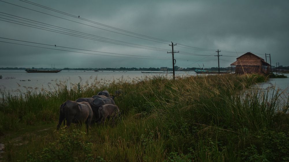 Photograph by Soumyak Saha Dhrubo