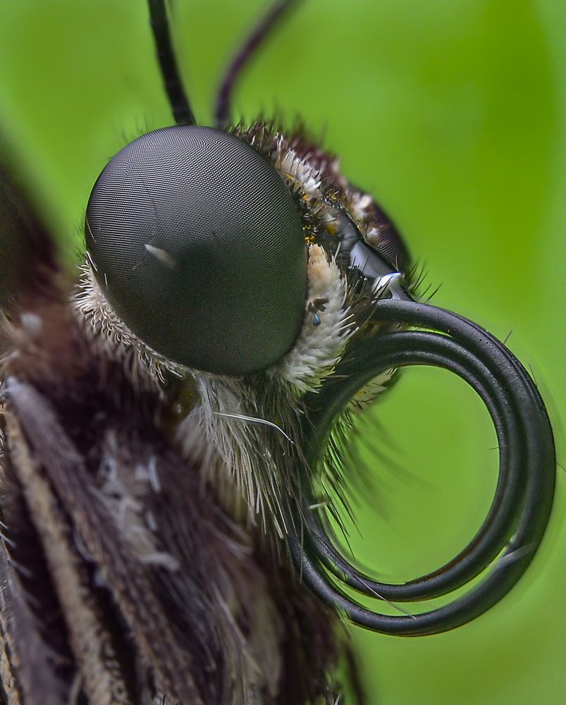 Photograph by Kasun Wickramasinghe