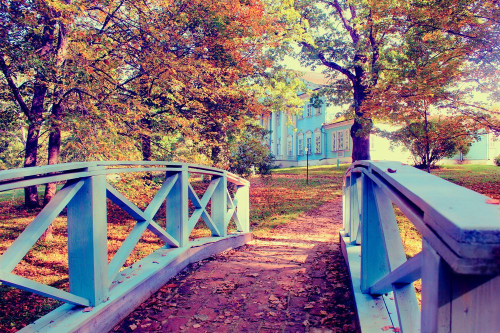 Photograph by Татьяна Семенова