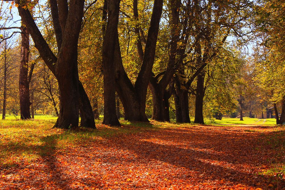 Photograph by Татьяна Семенова