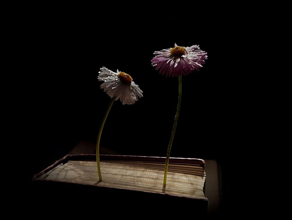 Photograph by Irina Dali