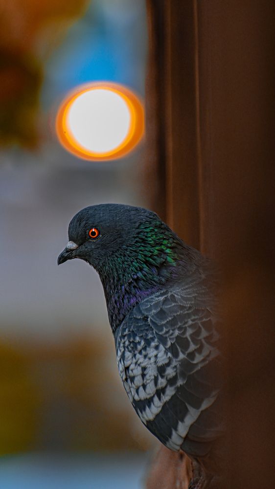 Photograph by Денис Бочаров