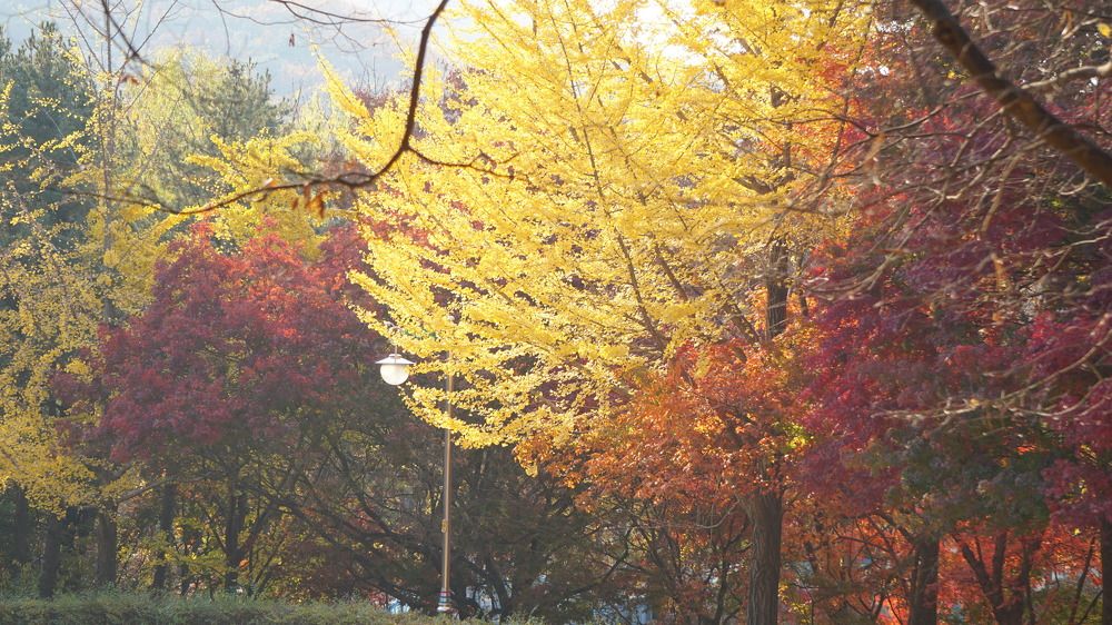 Photograph by Оксана Трофименко