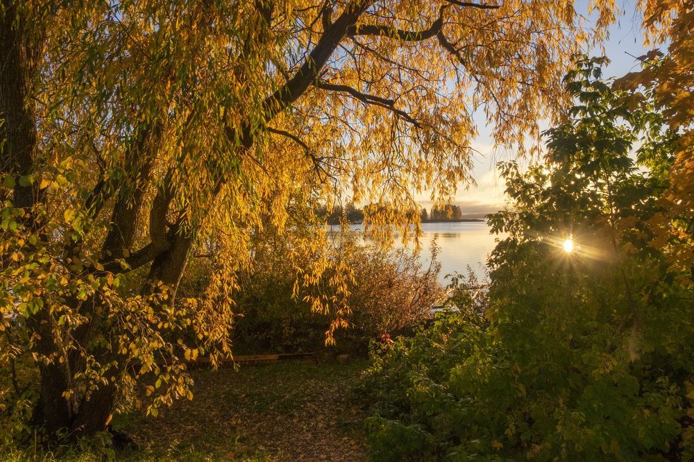 Фотография автора Наталья Липовская