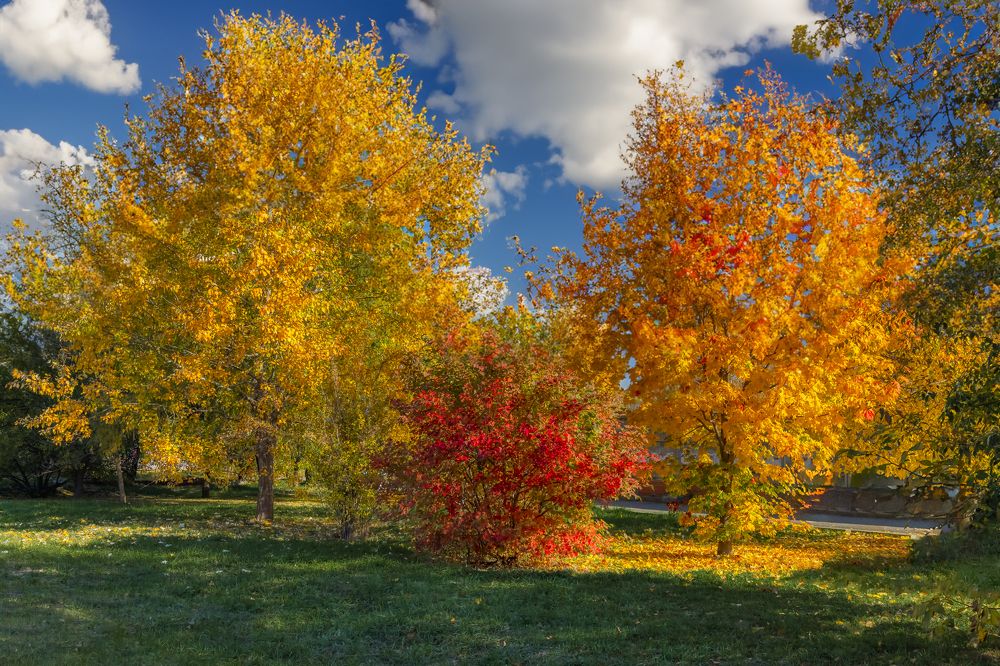 Photograph by Юрий Левко