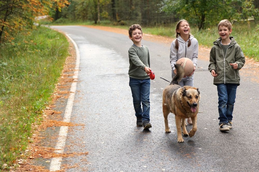 Фотография автора Алина Ефимова