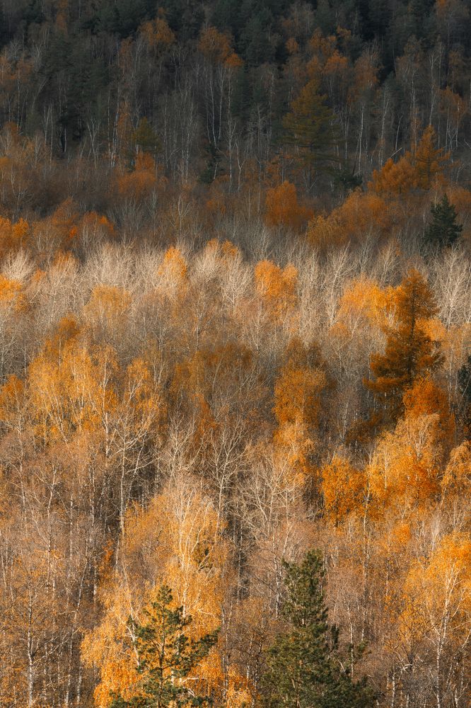 Photograph by Ivan Sazykin