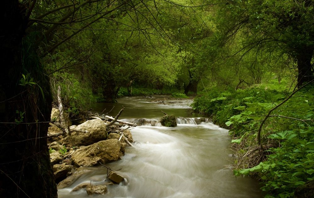 Photograph by Антон Кремер