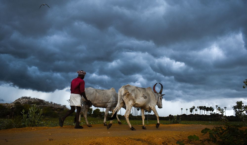 Photograph by VASANTH PRABHU RAJAN