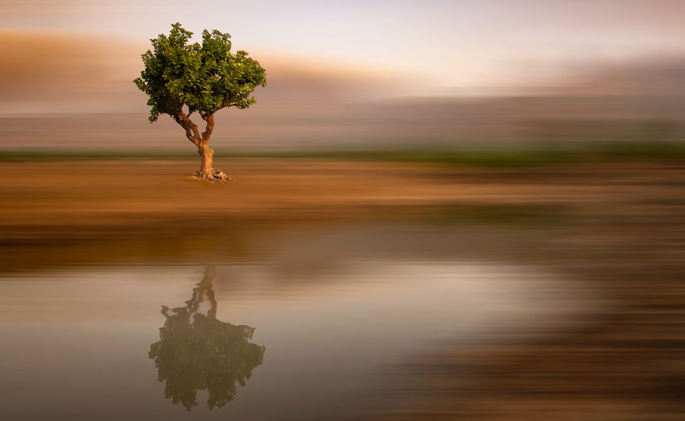 Photograph by Santanu Majumder