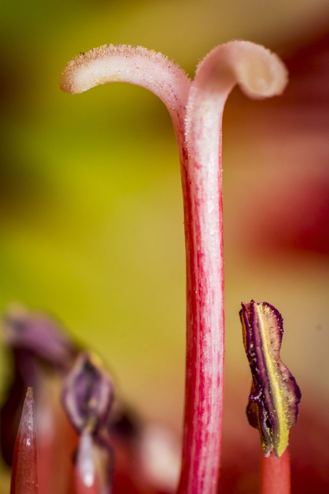 Photograph by Mohammed manaf Suliman