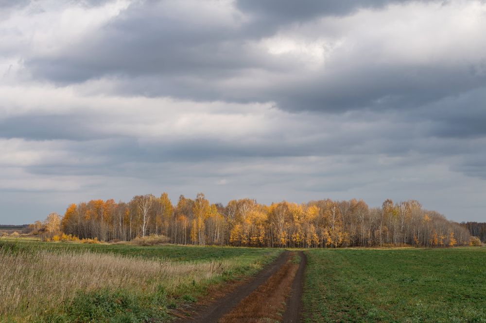 Фотография автора Светлана Бобошина