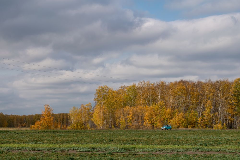 Фотография автора Светлана Бобошина