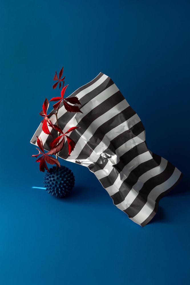 Фотография автора Светлана Бобошина