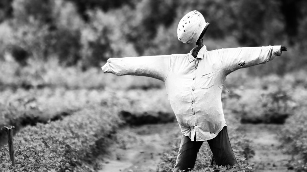 Photograph by Anurag Kashyap