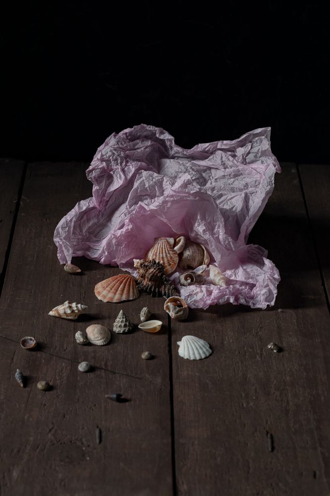 Фотография автора Светлана Бобошина