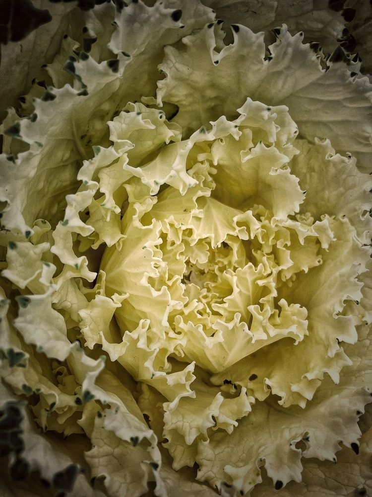 Photograph by Alexandr Shcherbakov