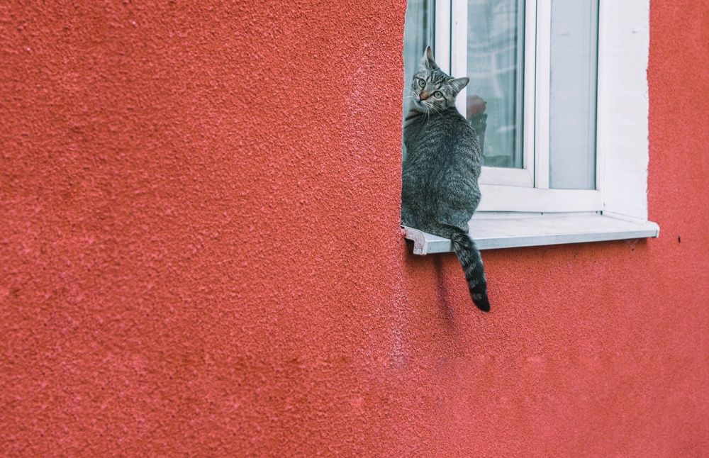 Photograph by Артём Серегин