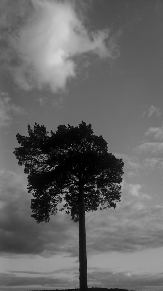 Фотография автора Анастасия Владимирова