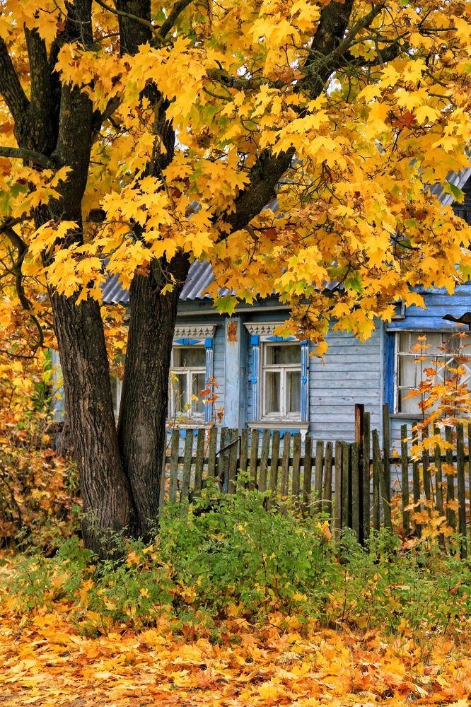 Photograph by Алиса Маркина