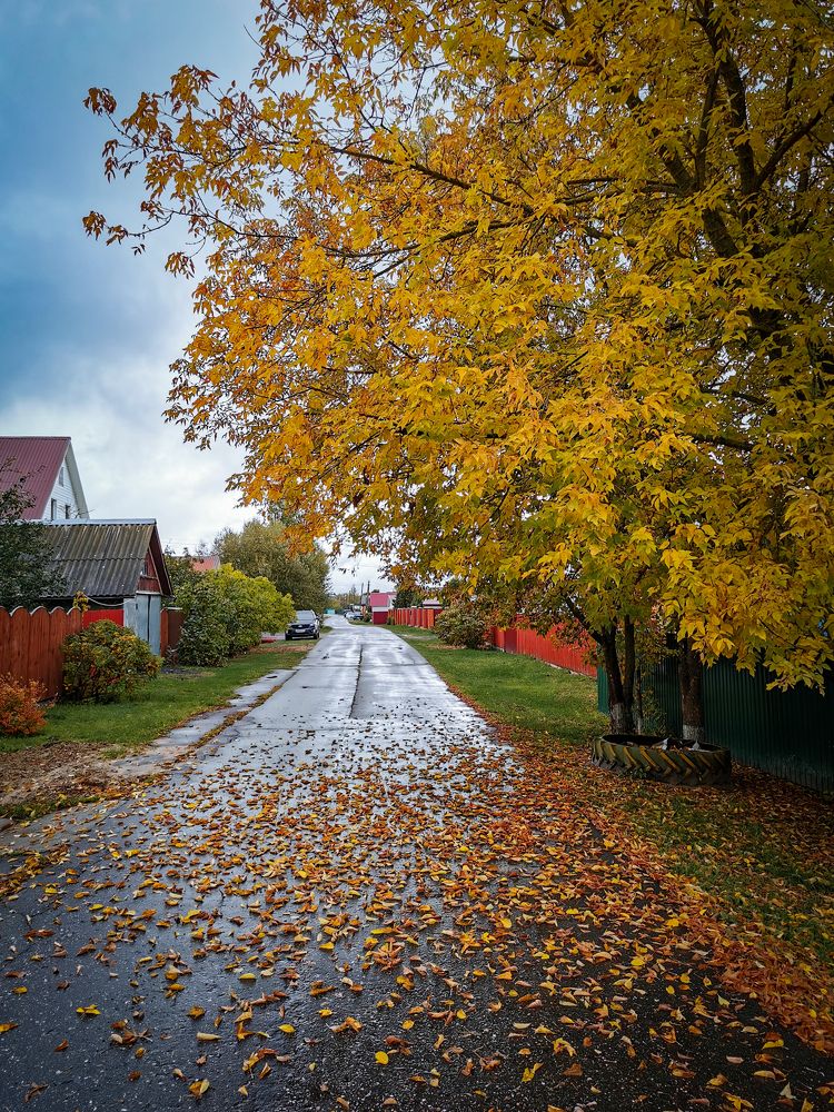 Photograph by Алиса Маркина